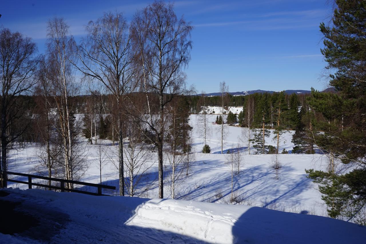 Borrgarden Hostel Ljusdal Exterior foto